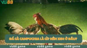 da-ga-campuchia-thum