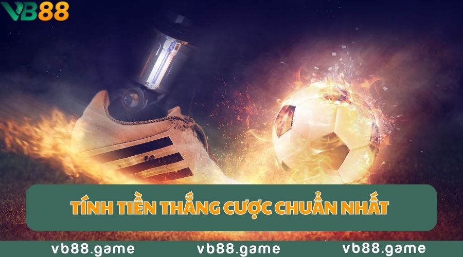 Thông Tin Về Kèo Chấp Bóng Đá Và Cách Chơi Chính Xác 4 keo-chap-tinh-tien